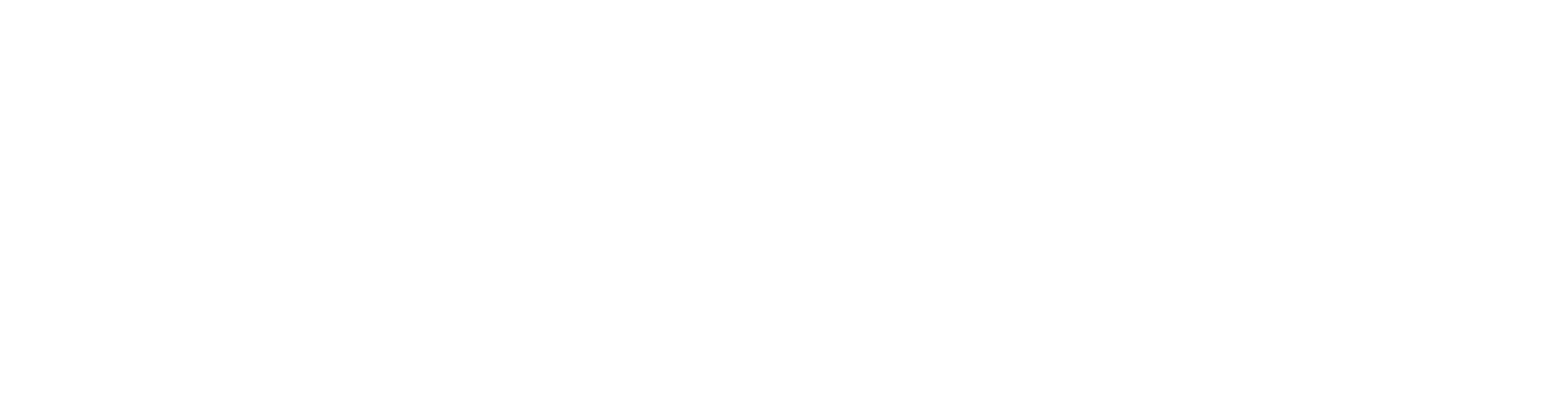 Woobie logo white